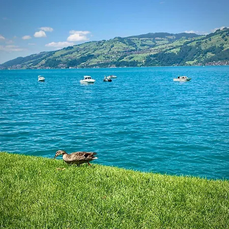 Moench Amazing Apartment *