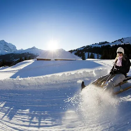 Daire Moench Amazing