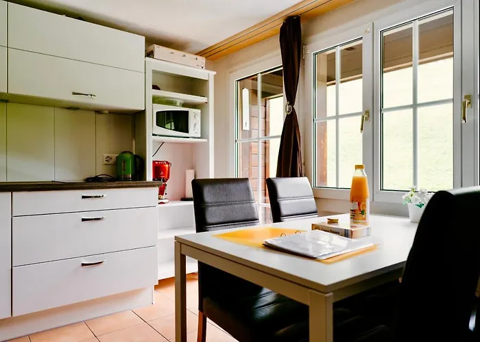 Moench Amazing 그린델발트