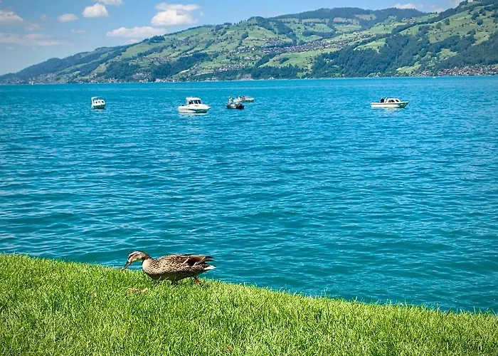 Moench Amazing Apartment *